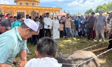 Bupati Aceh Singkil dan Keluarga Berkurban di Masjid Baiturrahman Lae Butar