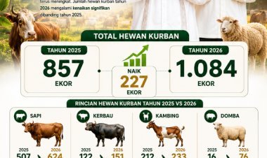 Hewan Kurban di Aceh Singkil Meningkat Signifikan, Capai 1.084 Ekor pada Idul Adha 1447 H