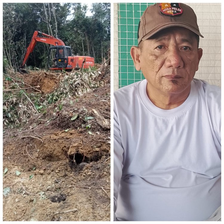 Hutan Produksi Diduga Dibabat di Aceh Singkil, Ketua LDAI Soroti Dugaan Pembiaran