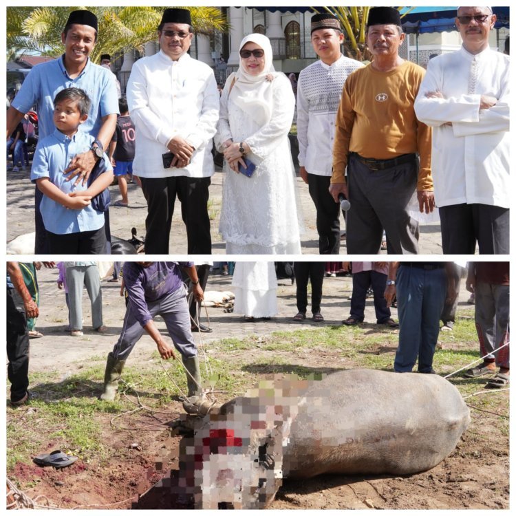 Bupati Aceh Singkil Saksikan Penyembelihan Hewan Qurban di Masjid Nurul Makmur