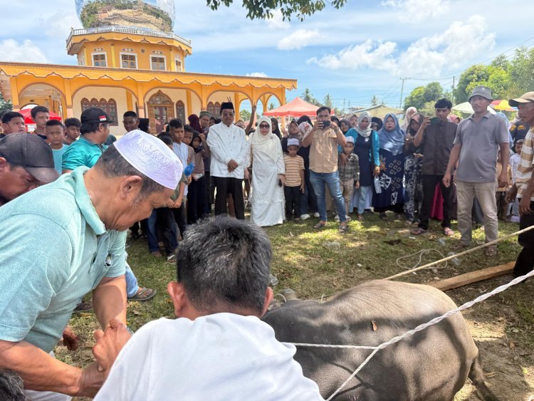 Bupati Aceh Singkil dan Keluarga Berkurban di Masjid Baiturrahman Lae Butar