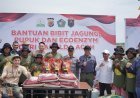 Perkuat Ketahanan Pangan Nasional Wakapolda Aceh Bersama Petani  Muda Milenial Tanam jagung di Pidie