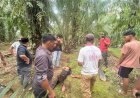 Kasus Pasutri Kritis di Aceh Singkil Masih Diselidiki, Polisi Tunggu Korban Pulih untuk Dimintai Keterangan