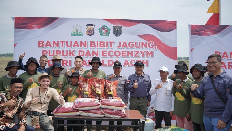 Perkuat Ketahanan Pangan Nasional Wakapolda Aceh Bersama Petani  Muda Milenial Tanam jagung di Pidie
