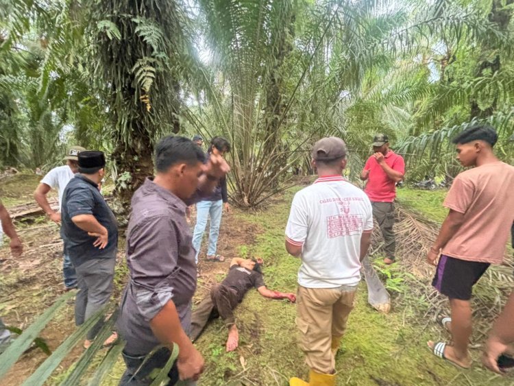 Kasus Pasutri Kritis di Aceh Singkil Masih Diselidiki, Polisi Tunggu Korban Pulih untuk Dimintai Keterangan