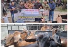 PT Socfindo Kebun Lae Butar Salurkan 10 Ekor Kambing untuk Pemuda, Dorong Kemandirian Ekonomi
