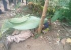 Mayat Pria Ditemukan di Depan Gardu Lama PLN Desa Tanah Bara, Polisi Masih Selidiki Penyebab Kematian