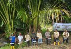 PT Socfindo Lae Butar Dukung Pelestarian Sagu Lewat Penanaman Bibit di Festival Sagu Singkil 2026