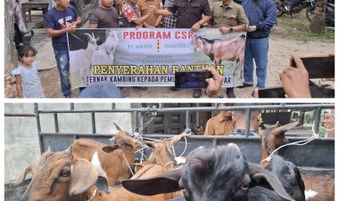 PT Socfindo Kebun Lae Butar Salurkan 10 Ekor Kambing untuk Pemuda, Dorong Kemandirian Ekonomi