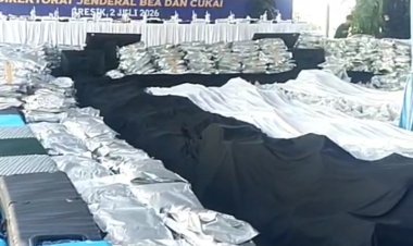BNN RI Gagalkan Penyelundupan 3,37 Ton Kuncup Bunga Cannabinoid Berkedok Impor Barang