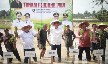 Sekda Aceh Pimpin Tanam Padi Perdana Pascabencana, Tegaskan Stabilitas Pangan Harus Tetap Aman