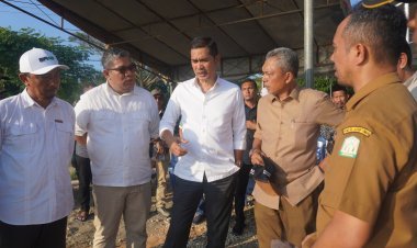 Sekda Aceh Tinjau Rehabilitasi Sawah di Aceh Timur, Dorong Percepatan Pemulihan Sektor Pertanian