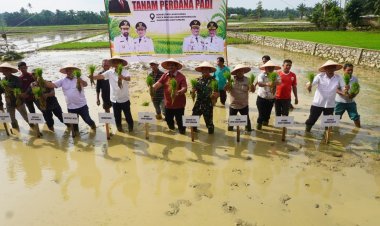 Pemerintah Aceh Pacu Pemulihan Sawah Terdampak Bencana Hidrometeorologi, Rehabilitasi Capai 40 Ribu Hektare