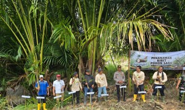 PT Socfindo Lae Butar Dukung Pelestarian Sagu Lewat Penanaman Bibit di Festival Sagu Singkil 2026
