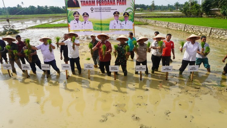 Pemerintah Aceh Pacu Pemulihan Sawah Terdampak Bencana Hidrometeorologi, Rehabilitasi Capai 40 Ribu Hektare