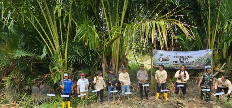 PT Socfindo Lae Butar Dukung Pelestarian Sagu Lewat Penanaman Bibit di Festival Sagu Singkil 2026